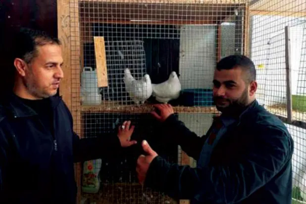 محمود البسيوني خلال تفقده الطيور (الشرق الأوسط)