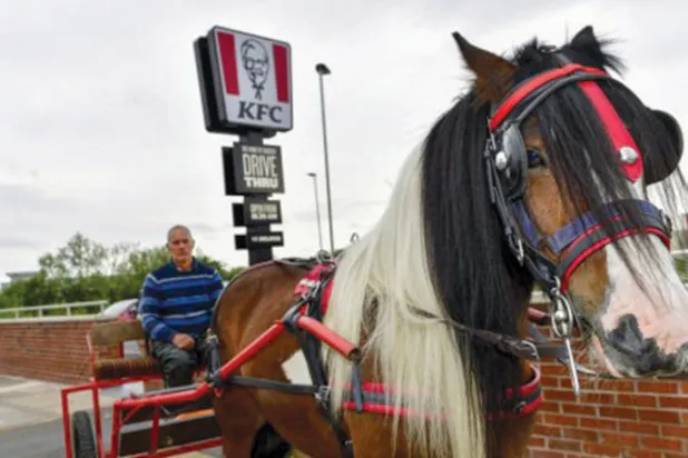 مطعم يرفض خدمة رجل بعربة وحصان