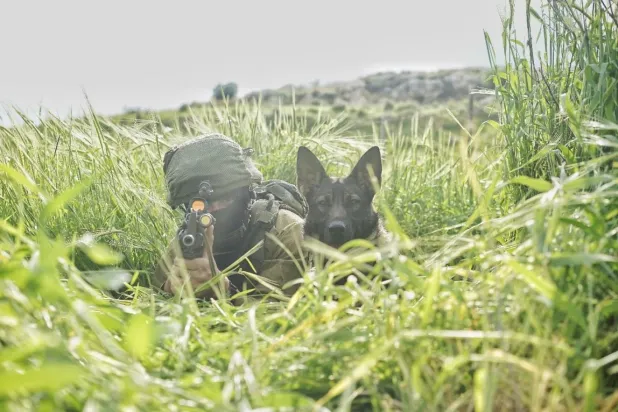 İsrail ordusu hayvanlara işkence ediyor