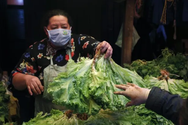 تحذيرات من تلوث الجزر والتفاح والخس بجزيئات البلاستيك