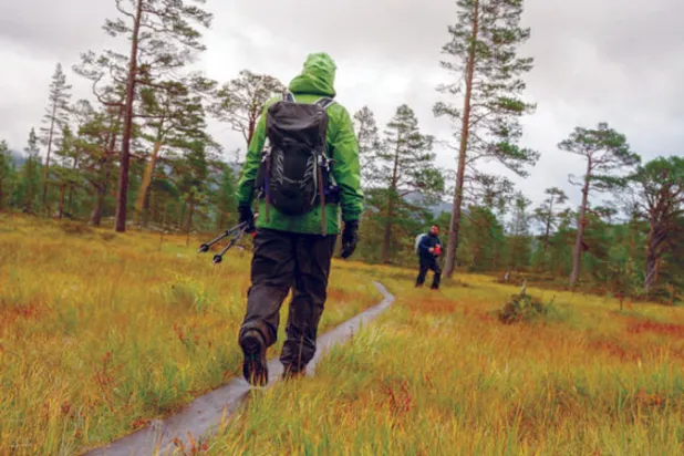 حرية التجوّل في البرية حق للجميع في السويد