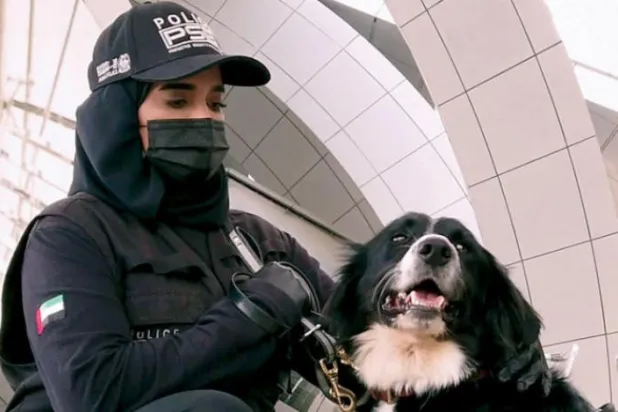 BAE koronavirüsle mücadelede polis köpeklerini kullanıyor