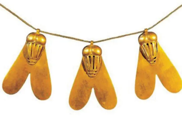 استخراج الحمض النووي من ذبابة مصرية قديمة