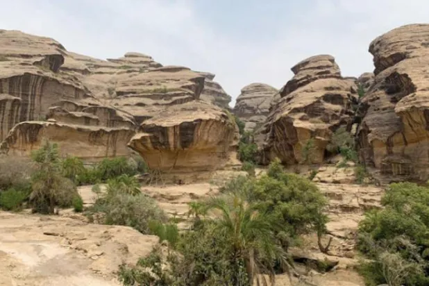 Jazan: A Diversity of Terrains and Climates Reflects its Authenticity, Beauty