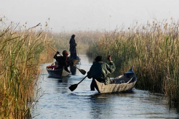 Mezopotamya Bataklıkları, biyolojik çeşitlilik ülkesi ve son Sümer uygarlığının hikayesi
