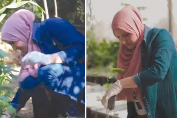 تجربة في عالم الزراعة المائية تُنفّذها المهندسة إرادة بغزة