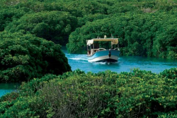 Saudi Farasan Islands Close to Being Registered in UNESCO’s MAB 