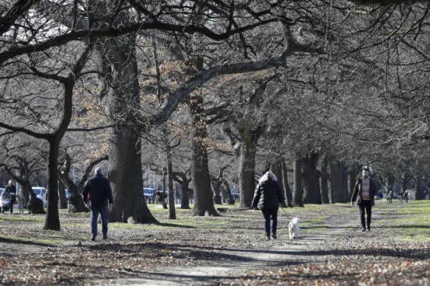 خوفاً من «كورونا»... إغلاق قرية للمتقاعدين في نيوزيلندا