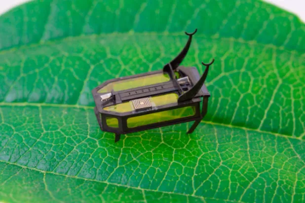 روبوت جديد خنفسائي... بلا بطاريات