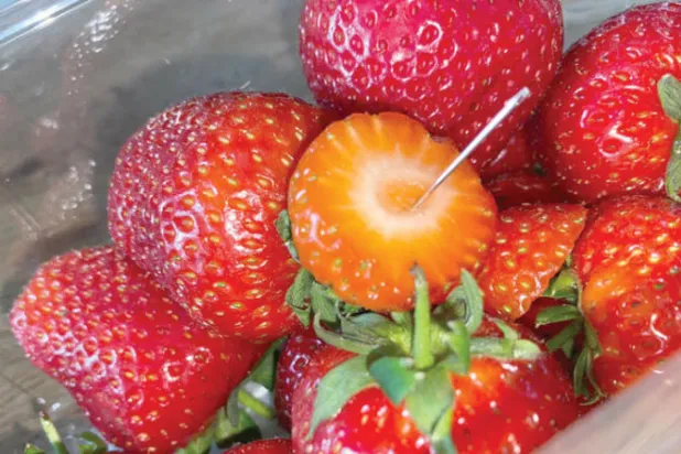 الشرطة الأسترالية تحقق في العثور على إبر بالفراولة