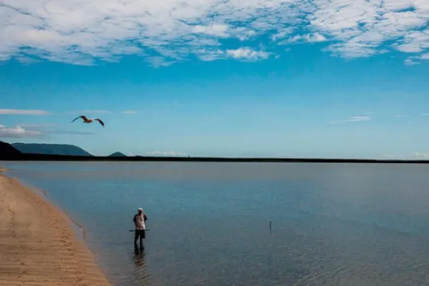 'A Bit Surreal’: The Lonely Plight of the Great Barrier Reef