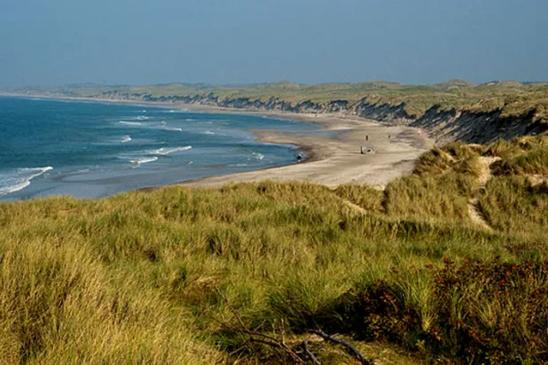 ازدياد معدلات نقص الأكسجين في المناطق البحرية الدنماركية