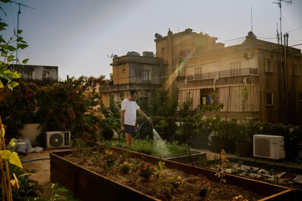 A Hungry Lebanon Returns to Family Farms to Feed Itself