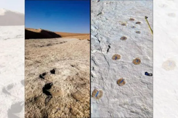 120,000-Year-Old Footprints Found in North-West Saudi Arabia 