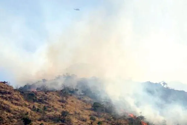 الدفاع المدني السعودي يواجه حريق غابات جبال «عمد» في الطائف