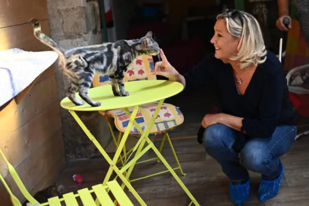 في ألمانيا... إطعام قط الجيران يستوجب المقاضاة