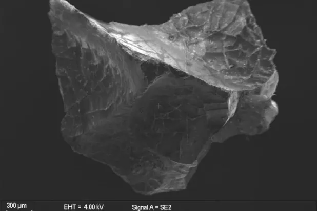 عمرها 2000 عام... اكتشاف خلايا دماغية محفوظة جيداً لضحية بركان بإيطاليا