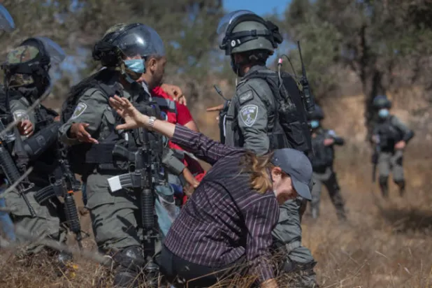 مستوطنون يغرقون حقول الزيتون الفلسطينية بالمياه العادمة