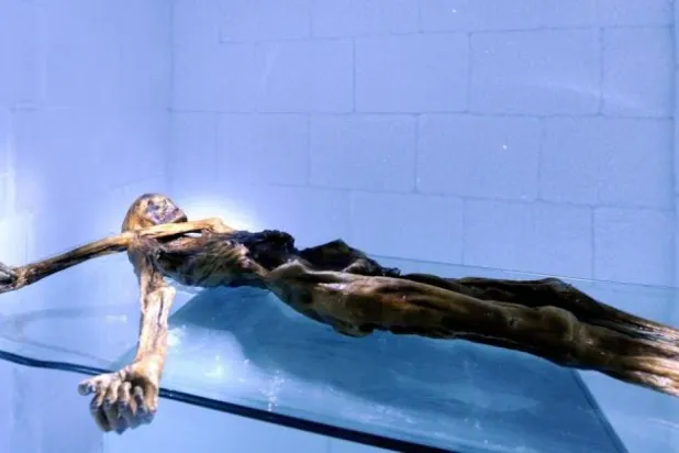 ذوبان الأنهار الجليدية في الألب يكشف عن كنوز مطمورة منذ آلاف السنوات