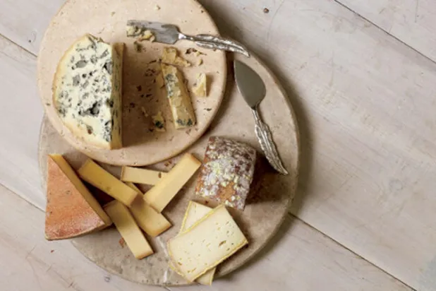 روائح الجبن تسمح للميكروبات بـ«التحدث» وإطعام بعضها بعضاً