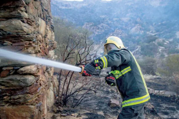 الدفاع المدني السعودي يخمد حريق غابات في عسير