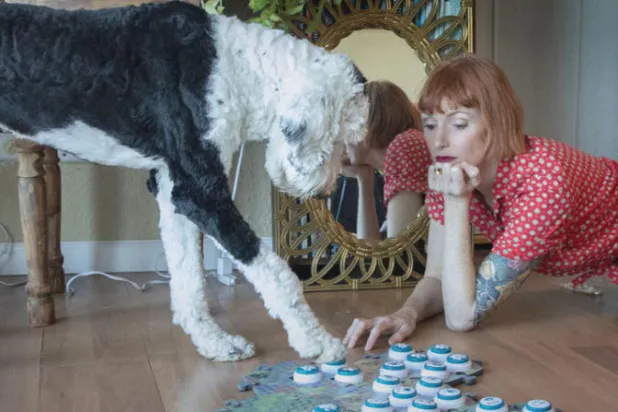 الكلبة الذكية «باني» تتعلم التواصل باستخدام الأزرار