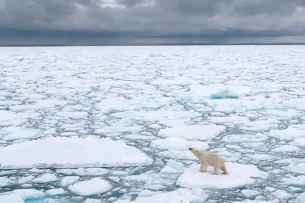 تغيُّر المناخ... ماذا لو تحققت مخاوف المستقبل غداً؟