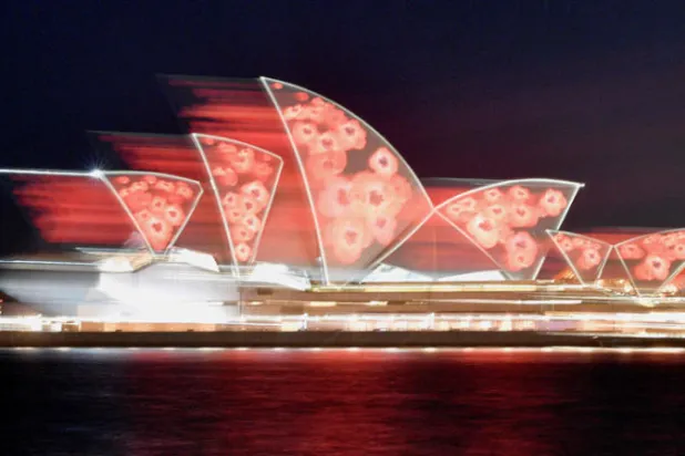 زهور الخشخاش تُضيء «أوبرا سيدني»