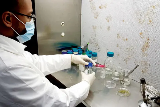 مبادرة سعودية لدعم الأعمال والبيئة بتبني أبحاث القطاع الزراعي