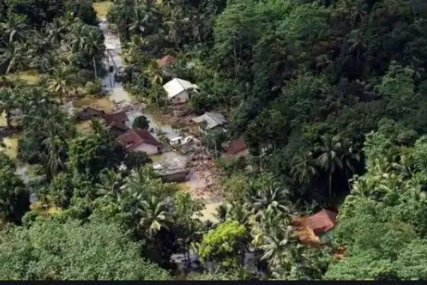 إلزام وزير سابق في سريلانكا بإعادة تشجير 2000 هكتار من الغابات