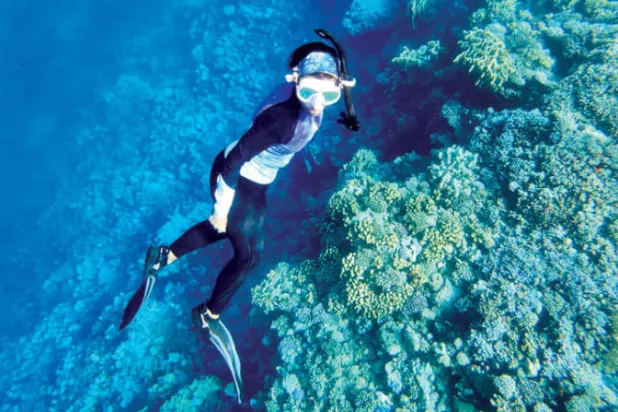 السعودية تدعو إلى التعاون لحماية الشعاب المرجانية