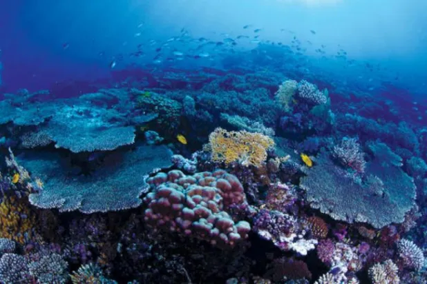 G20 Initiatives to Protect Degraded Lands  
