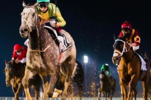 الجواد «ولش لورد» يخطف ذهبية «السابع» في ميدان دبي