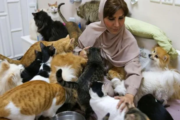 Ummanlı kadın 500 evcil hayvan için evini barınağa çevirdi