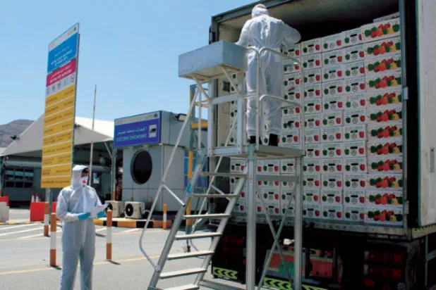 «جمارك دبي» تسجل 11.2 مليون معاملة خلال تسعة أشهر