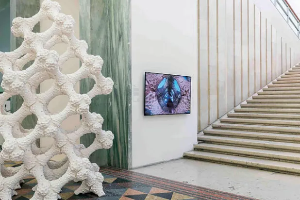 عرضت أنتونيلي أعمال «الطبيعة المحطمة» للمرة الأولى في 2019 في ميلانو (نيويورك تايمز)