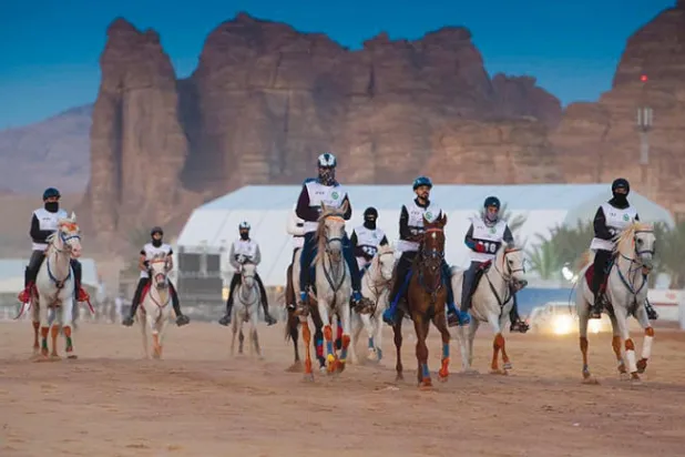 كأس الملك لسباق القدرة والتحمل إلى ديسمبر 2021