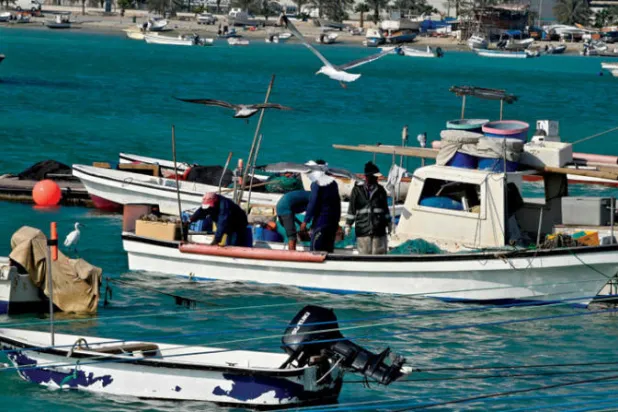 البحرين تدعو قطرلبحث «تنظيم الصيد»