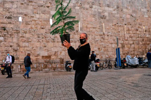 العاهل المغربي يدعو «لجنة القدس» للاجتماع قريباً