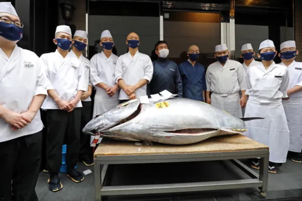 بيع سمكة تونة بأكثر من 200 ألف دولار في اليابان