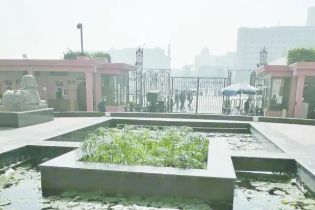 بدء موسم زراعة البردي في المتحف المصري