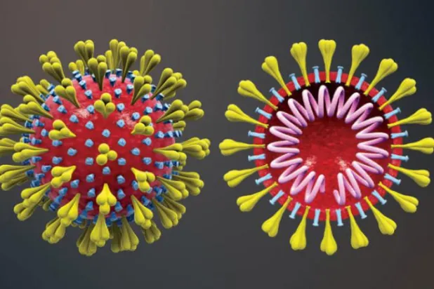Mutant Kovid-19 daha ölümcül