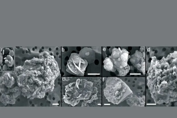 رُصد في المريخ... معدن «الجاروسيت» يظهر بالقطب الجنوبي