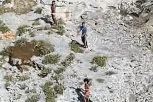 ثلاثة كوبيين يعيشون 33 يوماً على جوز الهند في جزيرة غير مأهولة