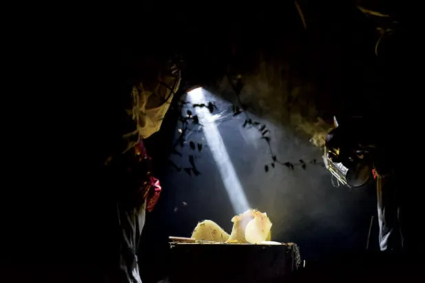 نهضة في تربية النحل والربح مرتين بساحل العاج