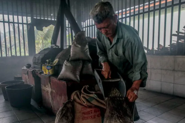 منتجو القهوة ينجحون في تجاوز أزمة «كورونا»