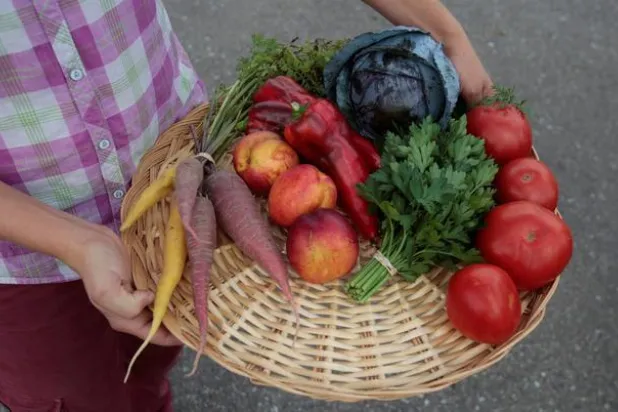 نظام غذائي يقلل من مخاطر الإصابة بأمراض القلب والخرف... تعرّف عليه