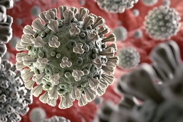 Son 24 saatte koronavirüsten 66 kişi hayatını kaybetti