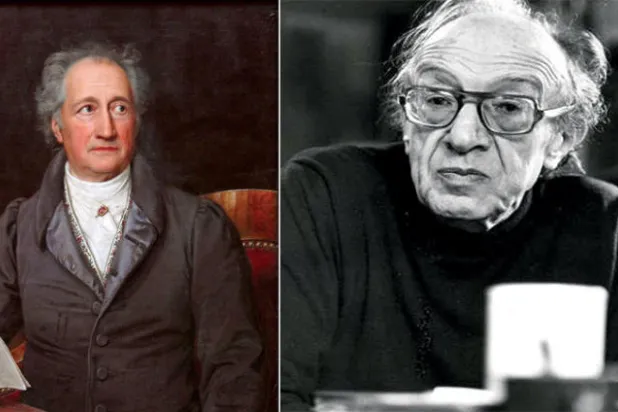 المستورد النقدي... العجالة في اجترار الأفكار