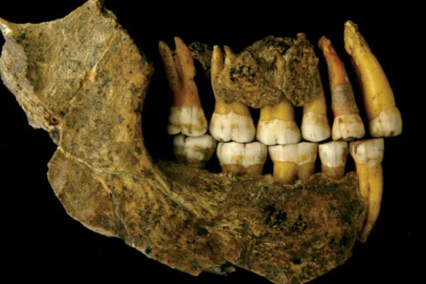 انقراض إنسان نياندرتال يعود إلى زمن أقدم مما كان يُعتقد